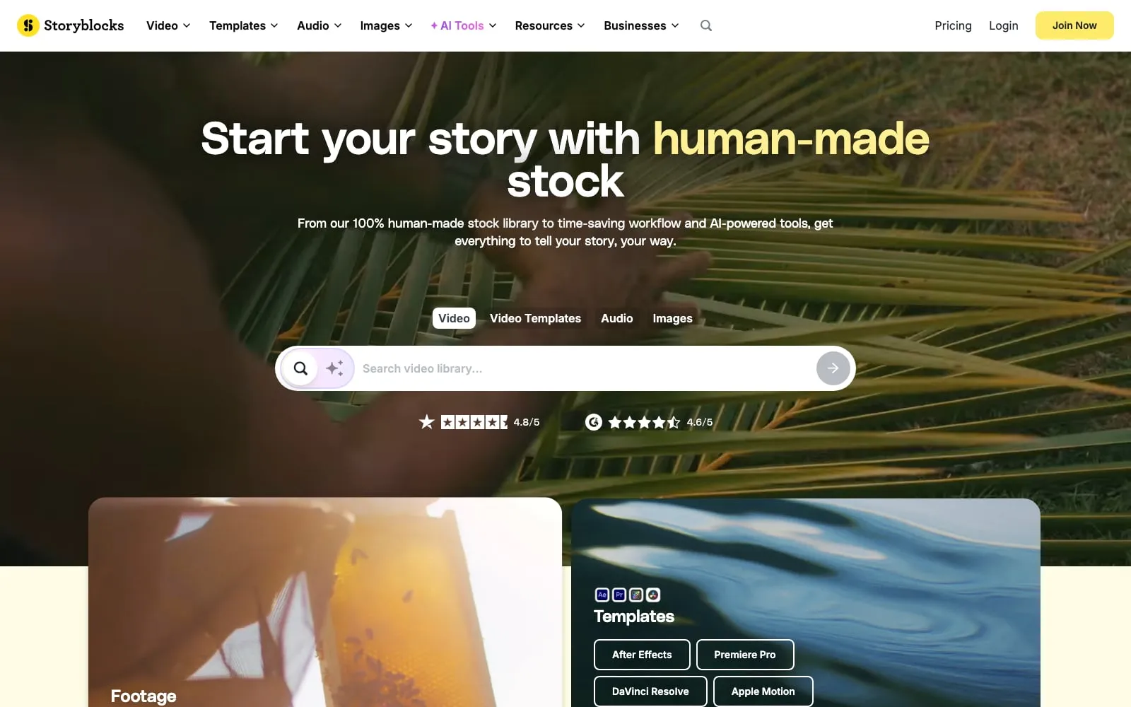 Screenshot of Storyblocks Contributor